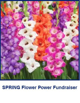Spring Flower Power Fundraiser
